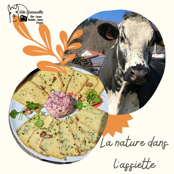 Domaine AbracadaRoom : Gîte Familial Scaravella - Image 39