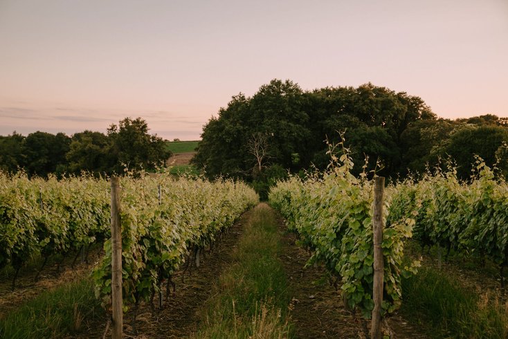 Domaine AbracadaRoom : Domain Melanie and Juvan - Image 5