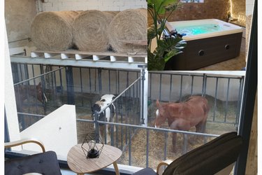 [4]  Chambre  3 pers. vue panoramique sur l’ensemble des chevaux à Fraisnes-En-Saintois (3)