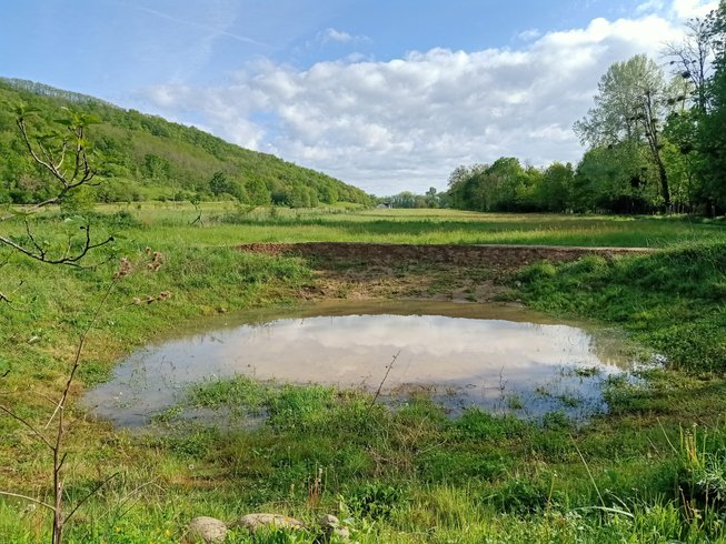 Domaine AbracadaRoom : Centre Agro Environnemental de Brassacou - Image 16