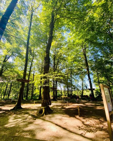 Hébergement AbracadaRoom : Cabane Spa dans les arbres (4m) - Image 8