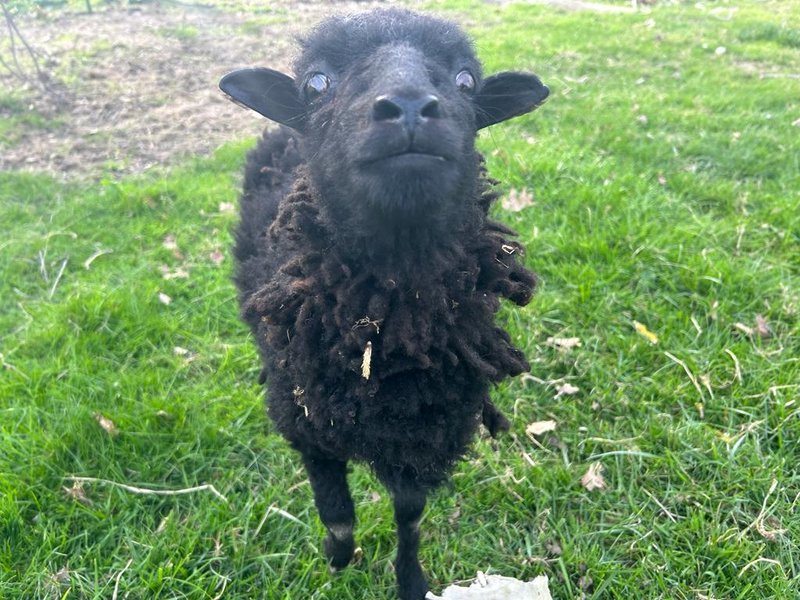 Domaine AbracadaRoom : Dans ma bulle - Image 21