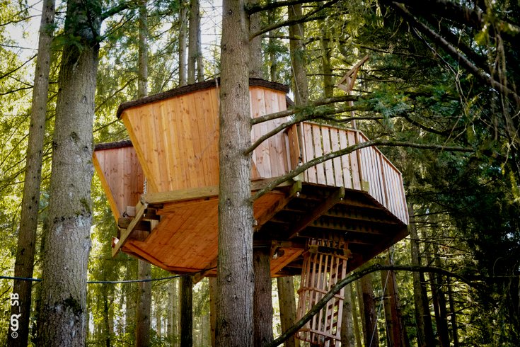 Domaine AbracadaRoom : Village des cabanes perchées du Lac des Sapins - Image 5