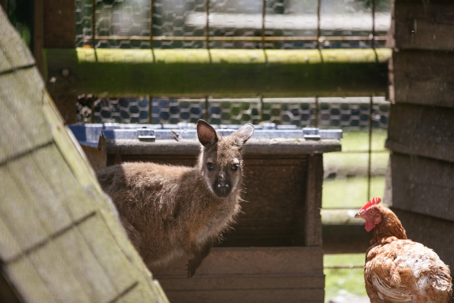 Domaine AbracadaRoom : Seasonova Camping Saint Michel - Image 7