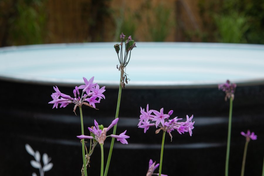 Domaine AbracadaRoom : Pépiite Terre de Provence - Image 22