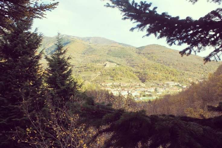 Hébergement AbracadaRoom : Cabane Séquoïa 1 - Image 15