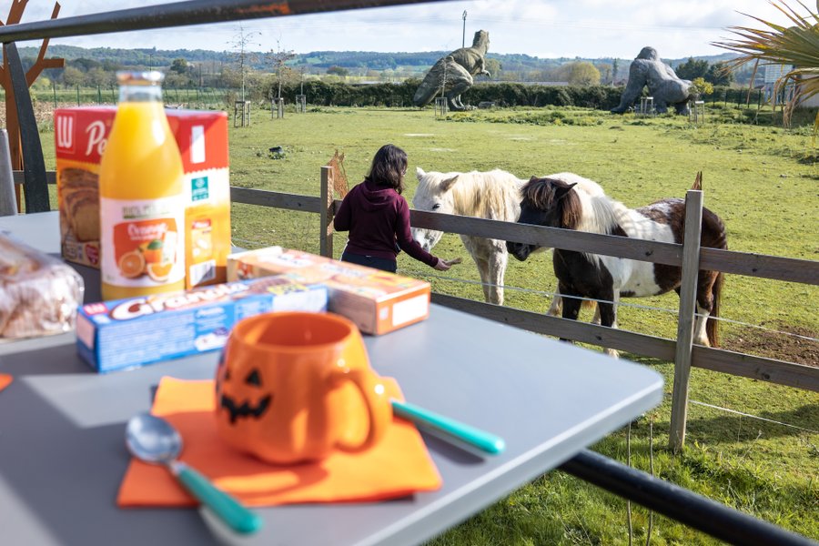 Domaine AbracadaRoom : Le repaire de la Citrouille - Image 5