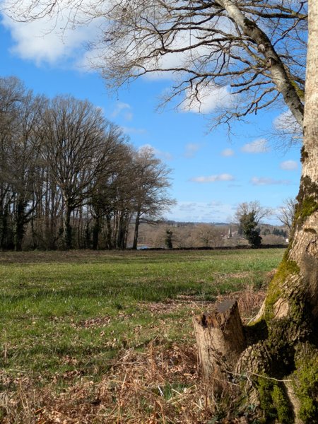 Domaine AbracadaRoom : Glamping La Fraventure - Image 28