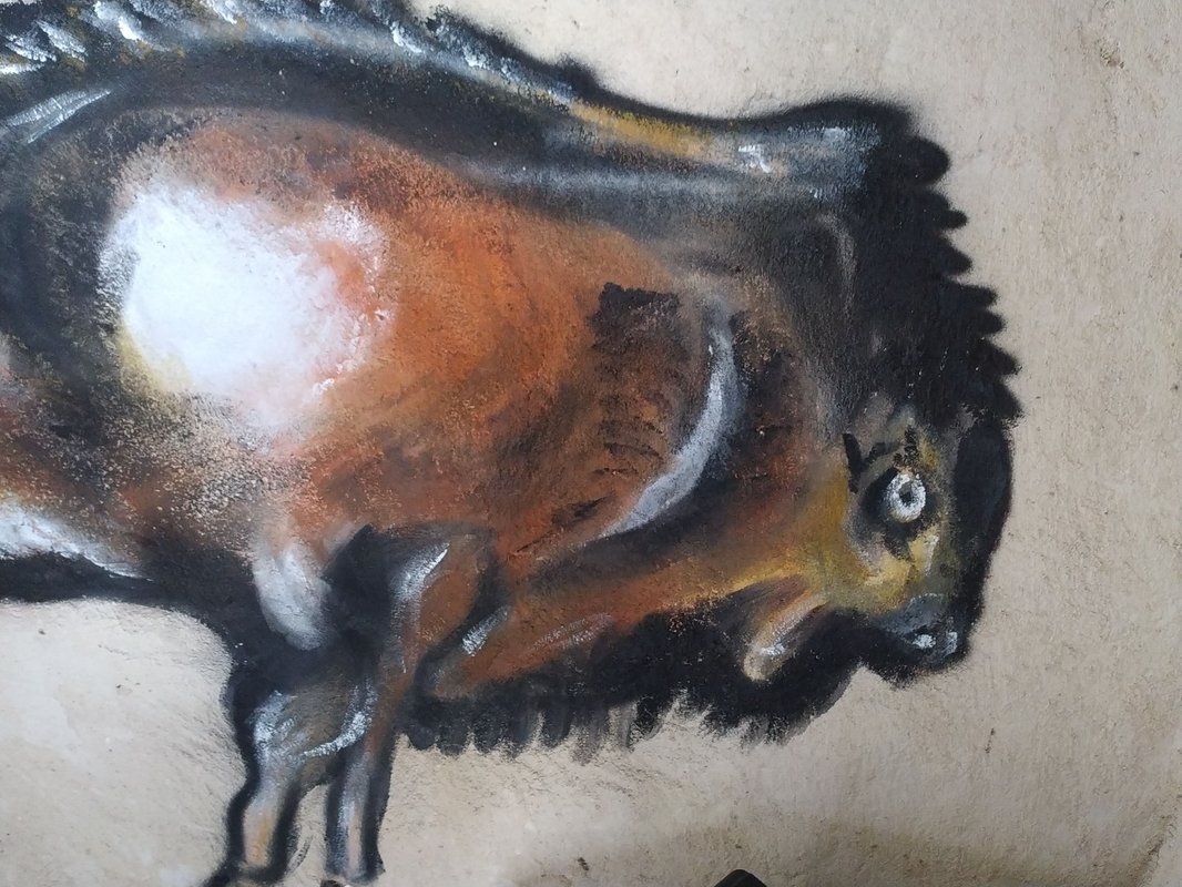Cromagnon à Saint-Geniès (13)