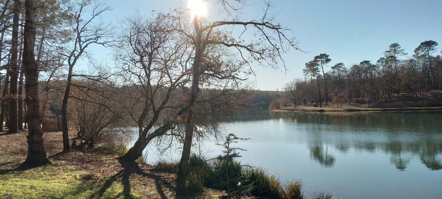 Hébergement AbracadaRoom : La roulotte de Naturospirit - Image 17