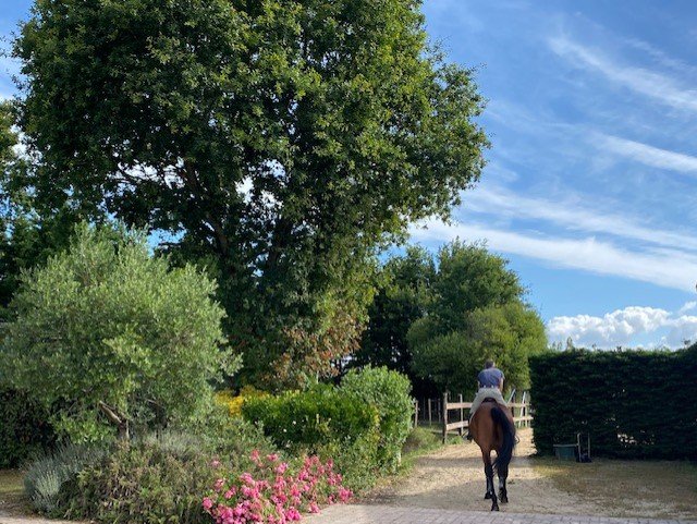 Domaine AbracadaRoom : Gîtes de la belle étoile - Image 2