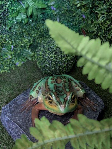 Hébergement AbracadaRoom : Nuit insolite avec Spa, sauna et jardin privatifs immersion en AMAZONIE - Image 31