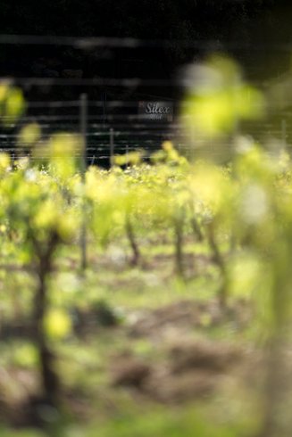 Domaine AbracadaRoom : Silex Wine Hotel - Image 4