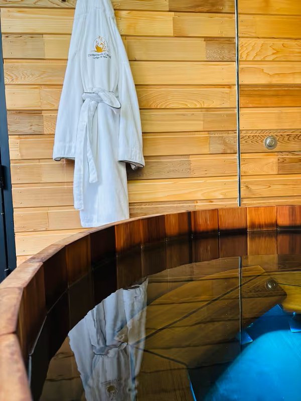 Lodge luxe bain nordique au bord du Canal de Briare à 1h30 de Paris à Montcresson (15)