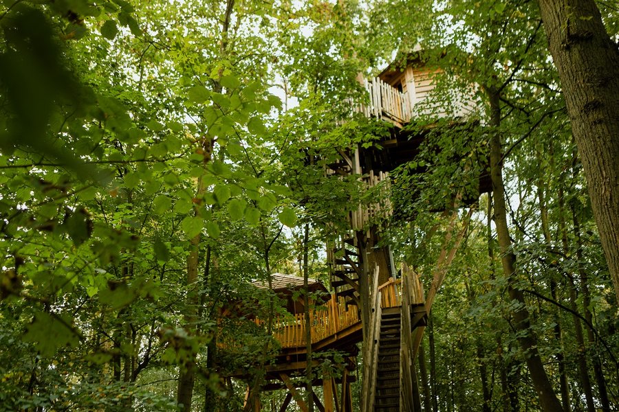 Hébergement AbracadaRoom : Cabane Spa Carpe Diem - Image 5