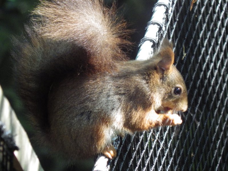 Domaine AbracadaRoom : Sur un Arbre Perché - Image 13