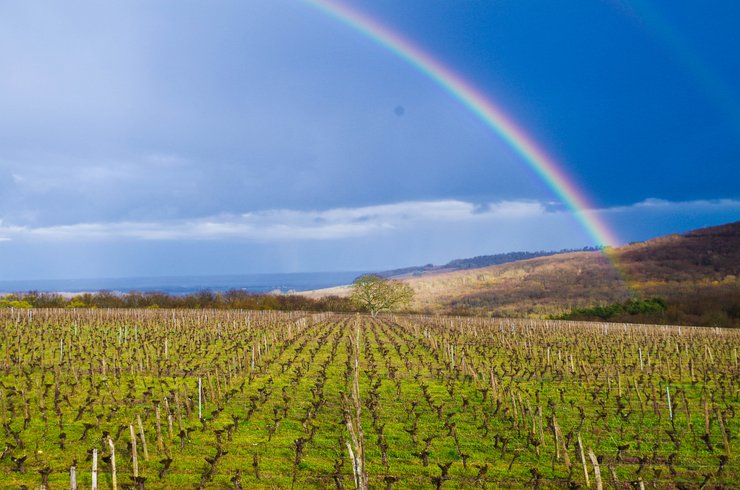 Domaine AbracadaRoom : Domaine  Joseph Lafarge - Image 12
