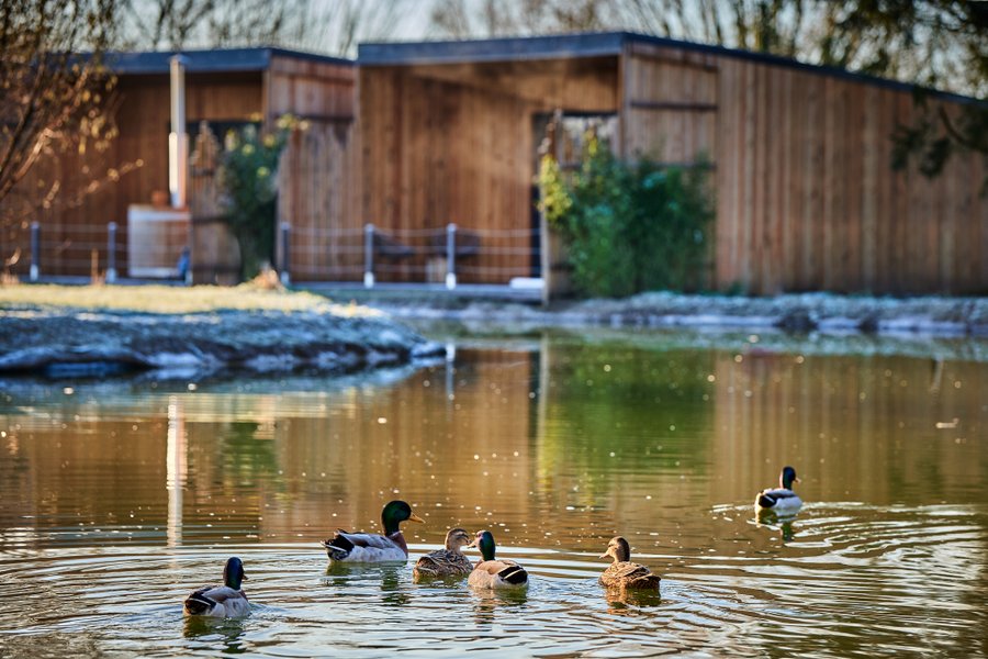 Domaine AbracadaRoom : Le Domaine - Wambrechies - Image 4