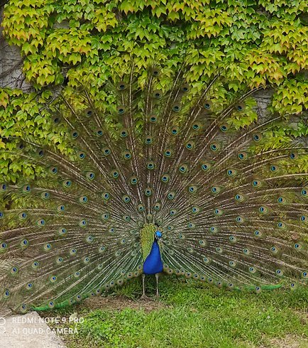 Domaine AbracadaRoom : Les Logis de l'Oumois - Image 7