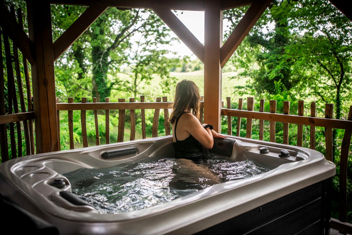 La Cabane la Vigne & Spa à Martillac (4)