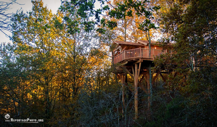 Hébergement AbracadaRoom : Cabane perchée & spa - Image 1