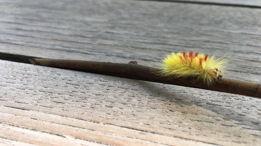 Domaine AbracadaRoom : La Ferme de la Goursaline - Image 7