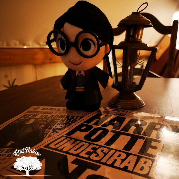 Hébergement AbracadaRoom : Le gîte Harry Potter - Image 11