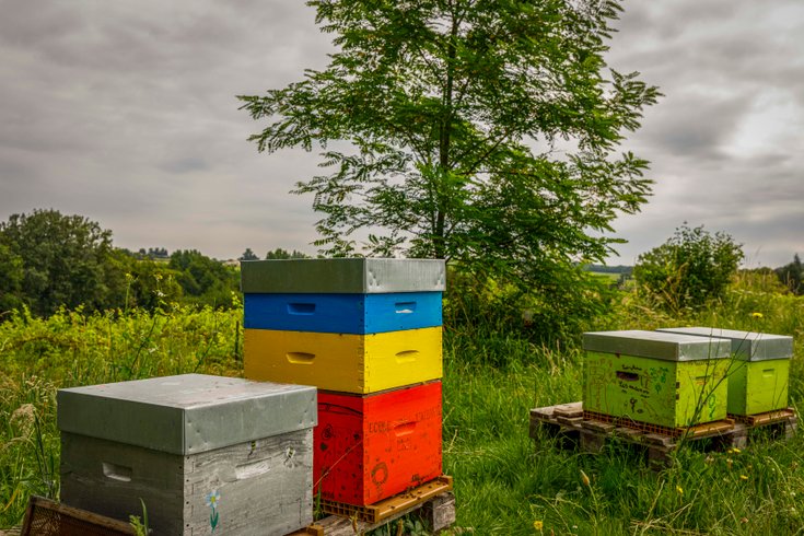 Hébergement AbracadaRoom : Tiny House La Vendange proche de Saint Emilion - Image 24