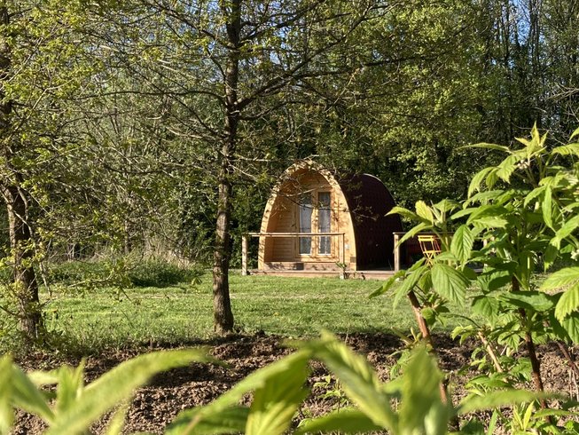 Hébergement AbracadaRoom : PoppyPod - Image 1