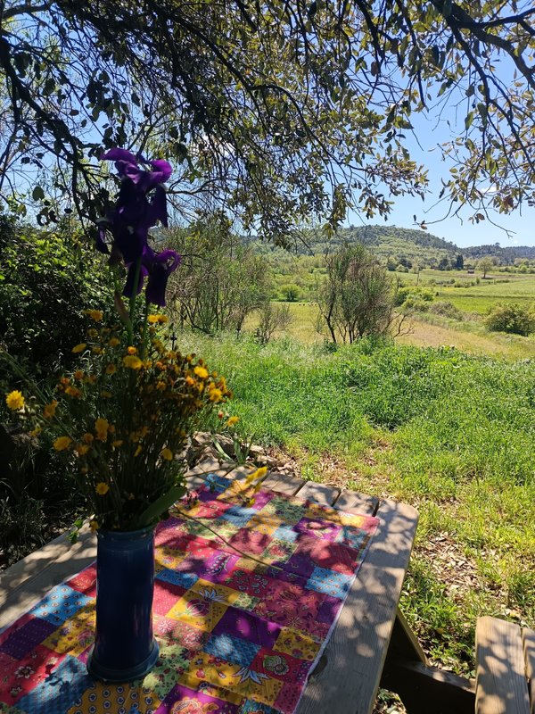 Yourte à la ferme des bréguières à Esparron De Pallieres (7)