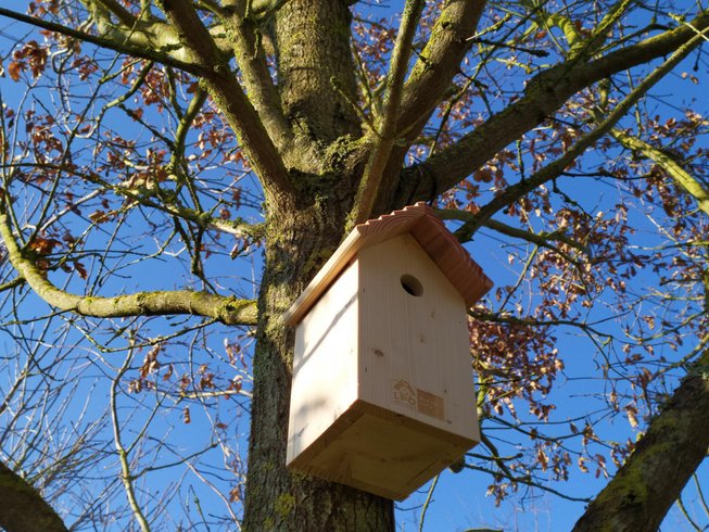 Hébergement AbracadaRoom : La roulotte "Sous le soleil" - Image 18