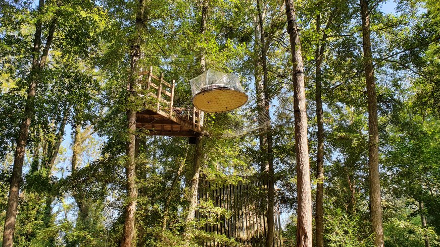 Hébergement AbracadaRoom : Bulle Haute la Maison du Rocher - Image 1