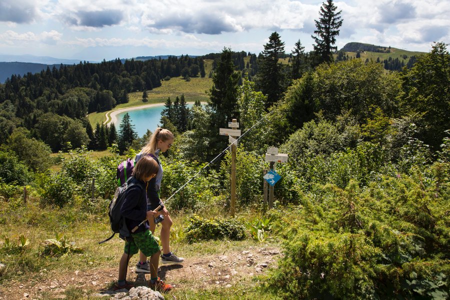 Domaine AbracadaRoom : The Wedge - Image 2