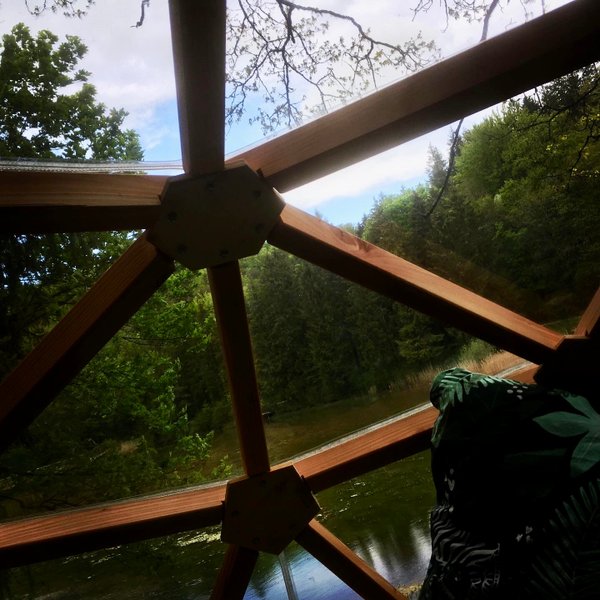 Hébergement AbracadaRoom : Petite Ourse - Image 2