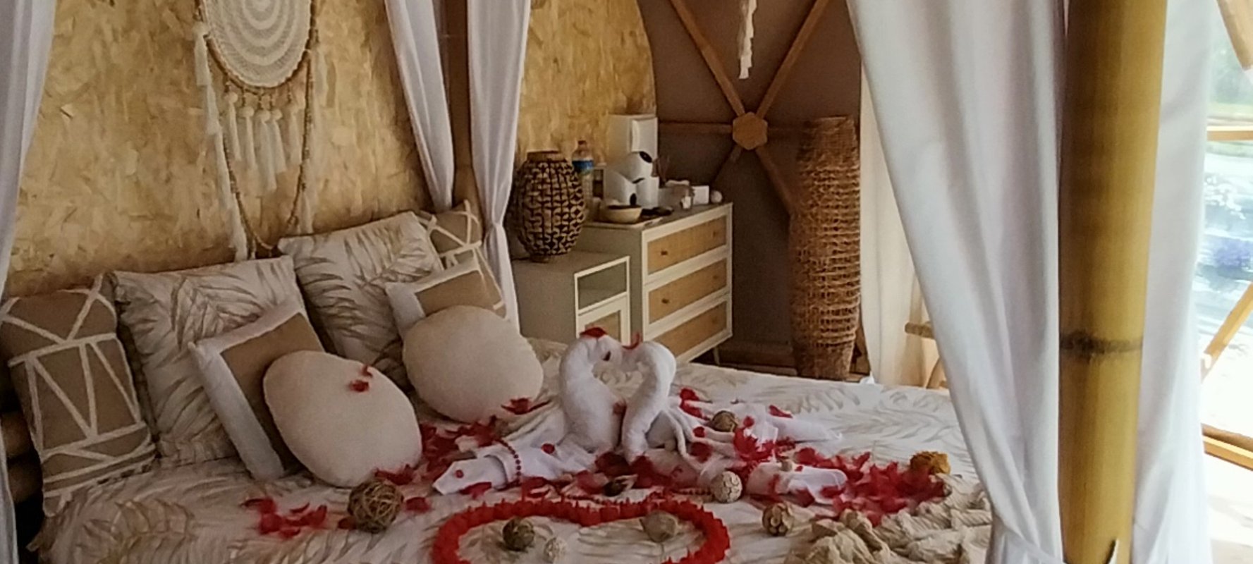 "M"ANON-Dôme Géodésique, piscine, spa et sauna. à Malves En Minervois (35)