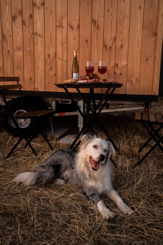 Hébergement AbracadaRoom : Homnest - Tiny house dans l'Allier - Cheval - Image 40