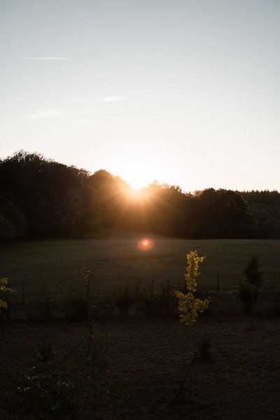 Hébergement AbracadaRoom : Castél de l'Arbre à Château de Memanat - Image 24