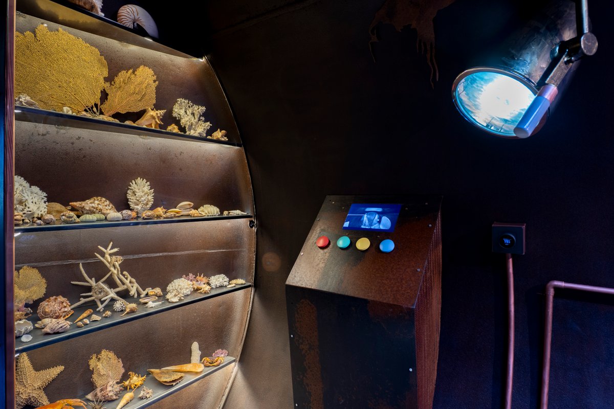 Le Nautilus & Sauna privatif à Raon Aux Bois (25)