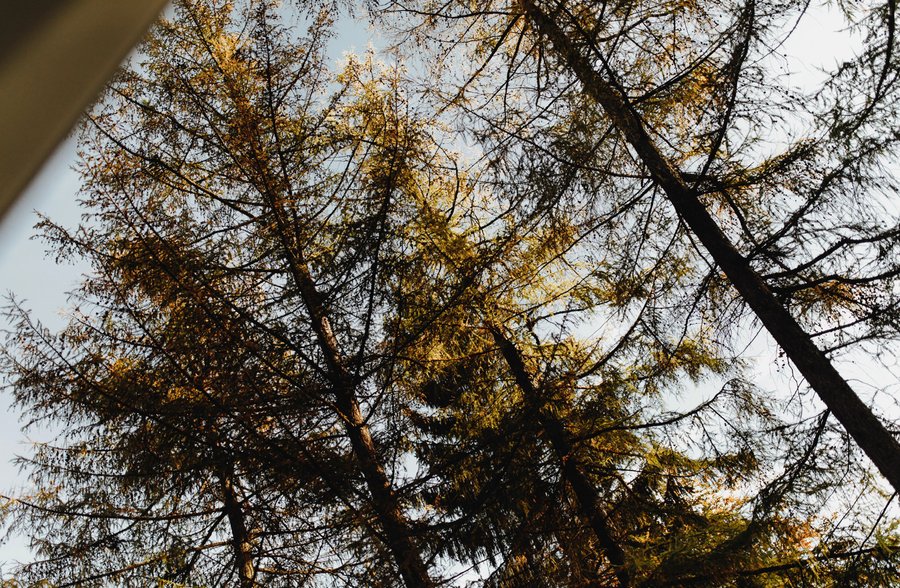 Hébergement AbracadaRoom : In the Woods - Chalet Scandinave - Image 17