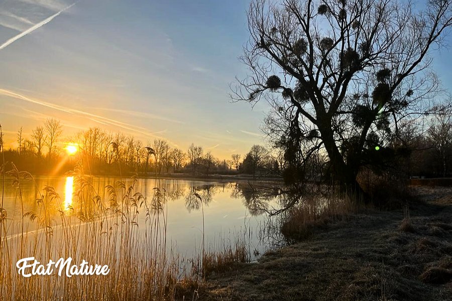 Hébergement AbracadaRoom : La bulle nuage d'Etat Nature - Image 9