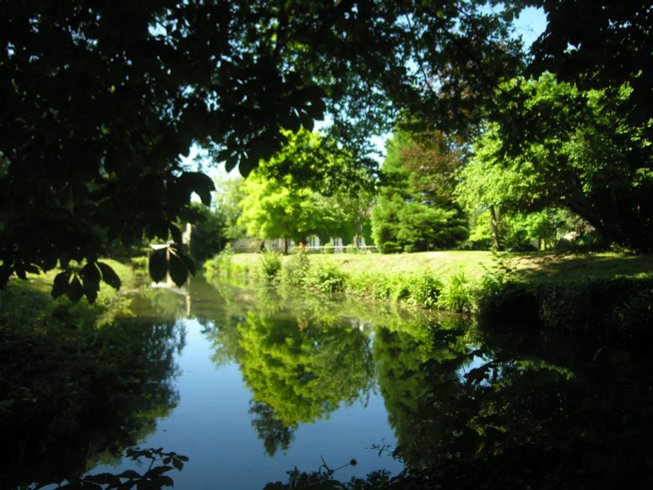 Hébergement AbracadaRoom : La roulotte d'Elise & Bain nordique - Image 9