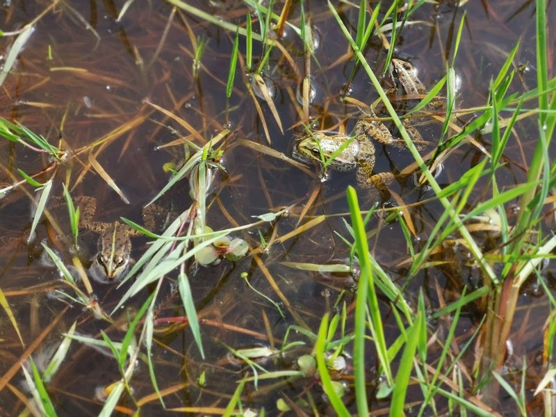 Domaine AbracadaRoom : La Noé verte - Image 11