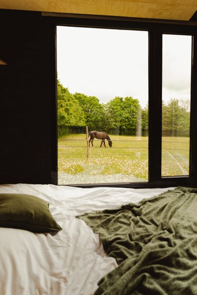 Hébergement AbracadaRoom : Parcel Tiny House- avec les chevaux dans le Perche - Image 2