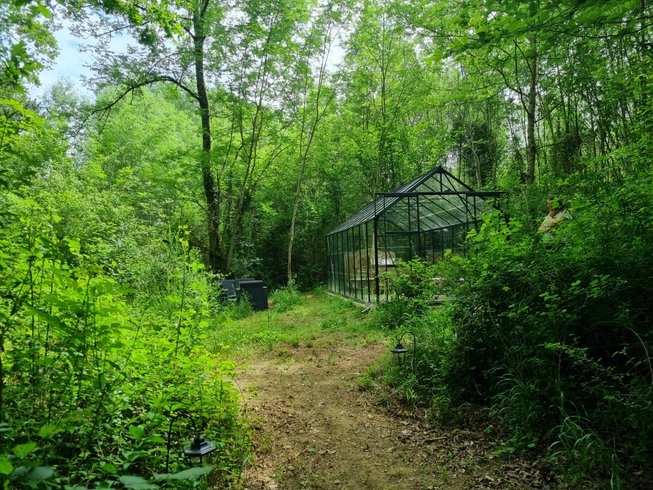 Hébergement AbracadaRoom : Serre - Image 6