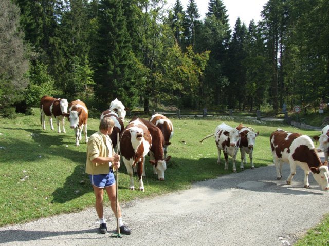 Hébergement AbracadaRoom : Yourte Mont d'Or - Image 9