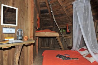 Cabane dans les arbres Marne