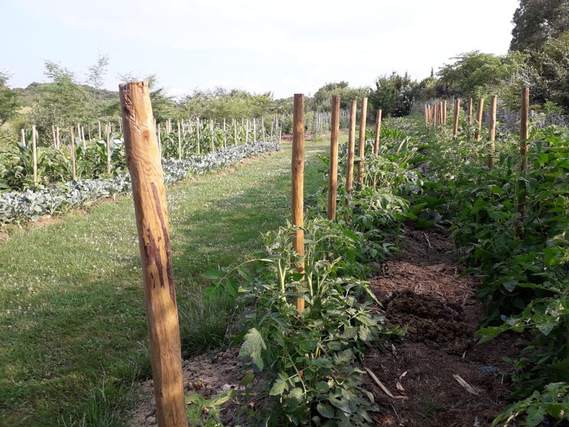 Domaine AbracadaRoom : Cabanes Trésors de Campagne - Image 14