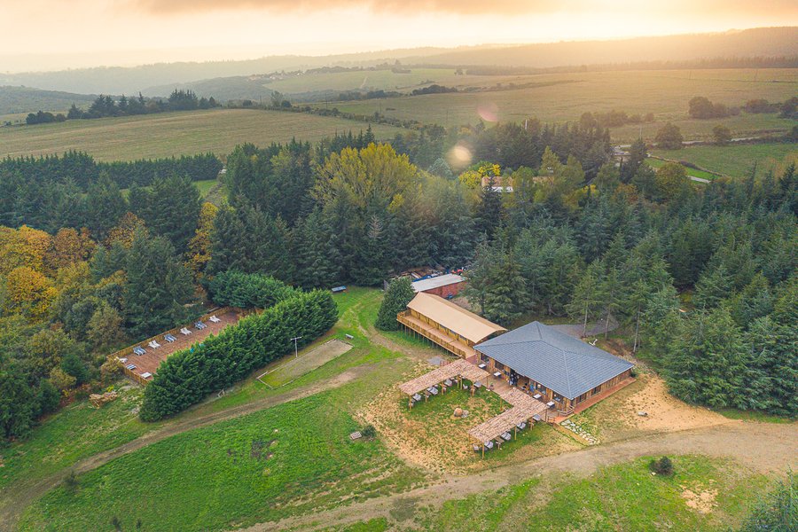 Hébergement AbracadaRoom : Forest Cocoon & Spa - Image 16