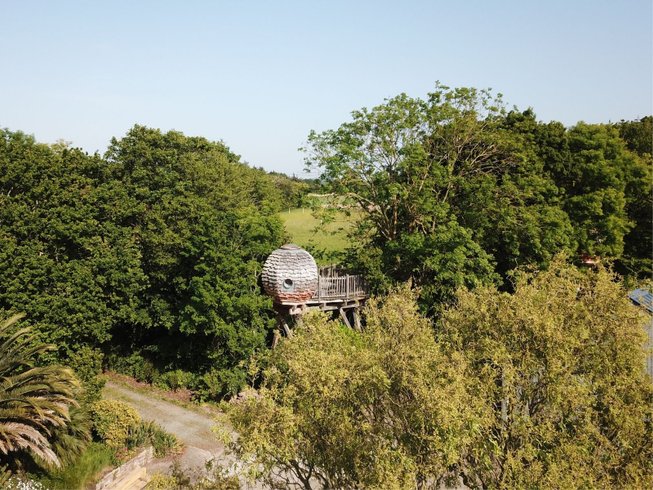 Hébergement AbracadaRoom : Nid de Pie - Image 10