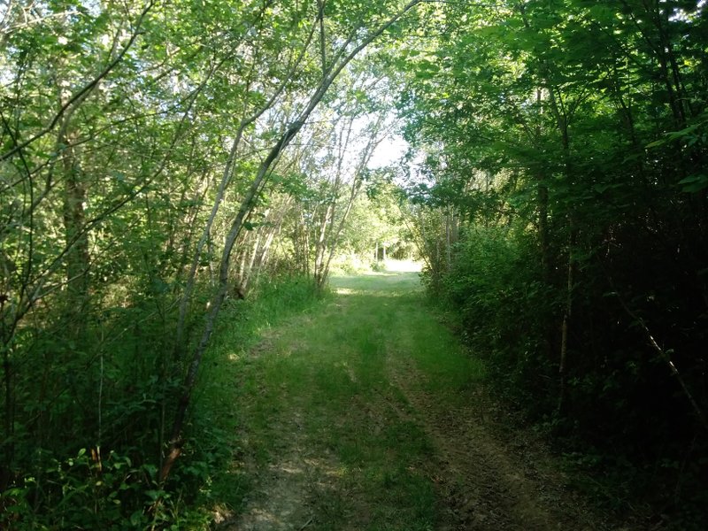 Hébergement AbracadaRoom : L'Arche de Robinson - Image 31